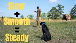 Creating A Steady Dog Step 1  Hunting Dog Training