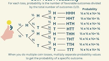 Probability On A Scale Exam Questions Revise For Your Level 1 Functional Skills Maths Exam
