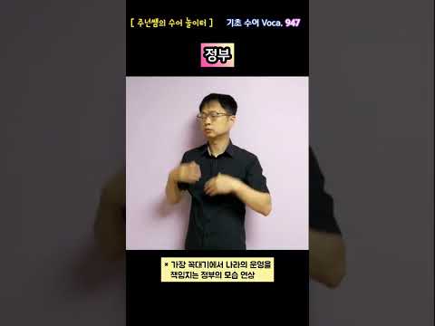 [ 기초 수어 Voca ] 947. 정부 - 수화배우기 [주넌쌤의 수어놀이터]