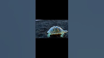 OpenAI Sora Video with Sound Effects - a tortoise whose body is made of glass
