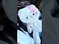 Part 2 Hello kitty build a bear #buildabear #pink #hellokitty #bunnycake