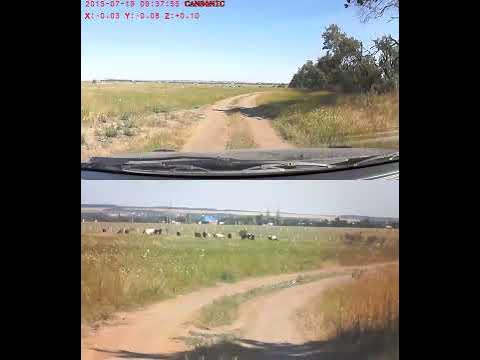сокол в степи - YouTube