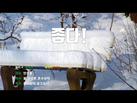 [은성 반주기] 좋다 - 안성훈