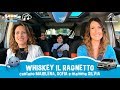 Whiskey il ragnetto  a scuola con coccole sonore