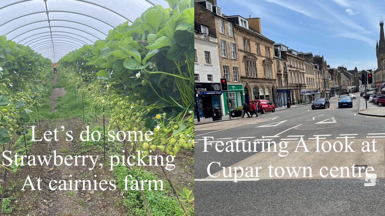 Strawberry picking at cairnies farm Featuring a look at Cupar town