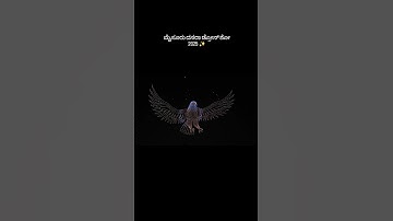 Mysuru Dasara Drone Show 2025: India