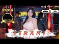 TIRANI - LAILA AYU KDI [OFFICIAL LIVE VIDEO] | TOP 11 LAGU TERBAIK 2024