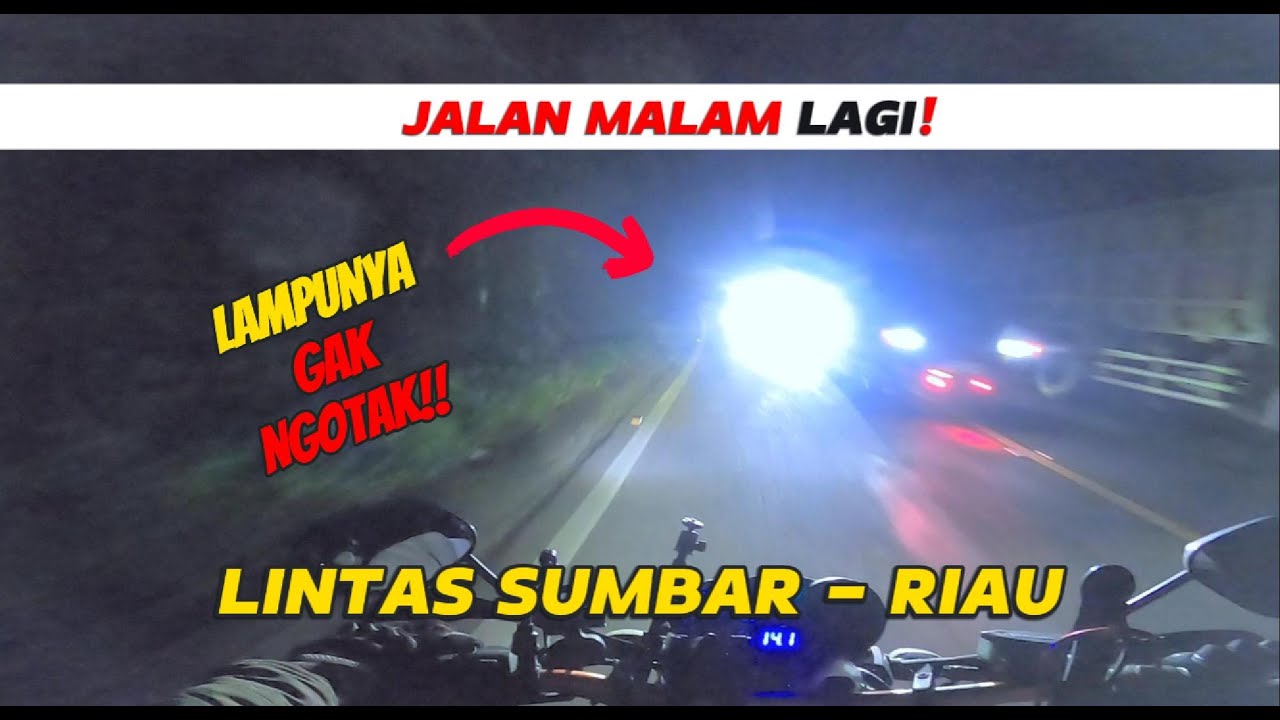 Banyak Di Jumpai, Di Hutan Lintas Sumbar - Riau!                              #automobile #motovlog
