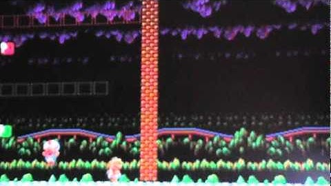 Super Mario Bros. X level editor glitch!