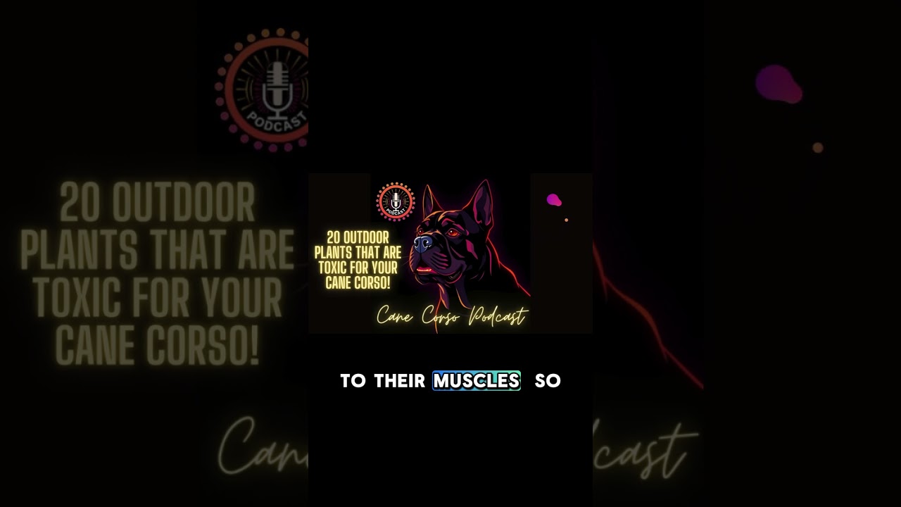 🐾 Azalea & Rhododendron: Hidden DANGERS! 🌺⚠️ 