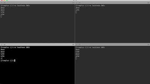 Tcp Echo Server - Testing ThreadServer