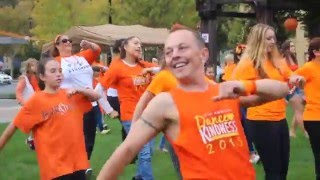 DFK 2015
