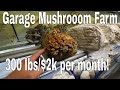 2 Car Garage Gourmet Mushroom Farm at Home, Grow 300 Lbs $2000 per month