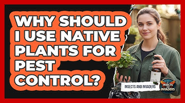 Why Should I Use Native Plants For Pest Control? - Insects and Invaders