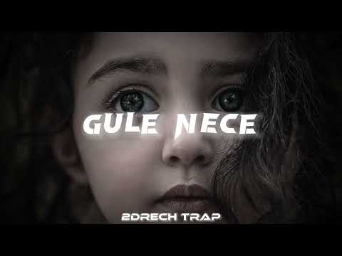 Hozan Diyar - Gule Neçe | Kurdish Trap Remix [2Drech]