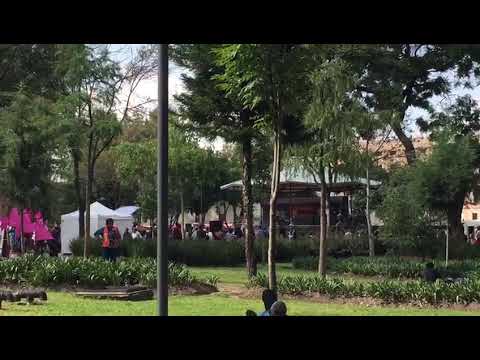 Video: De Bästa Mexico City Hantverk Bryggerier Du Kan Besöka