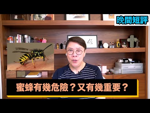 【時事短評】蜜蜂有幾危險？又有幾重要？（2023年5月14日）