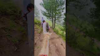 Horseback Ride to Siri Paye Top | Unforgettable Experience