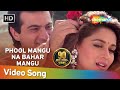 Phool Mangoo Naa Bahaar | Raja Songs | Madhuri Dixit | Sanjay Kapoor | Udit Narayan | Alka Yagnik