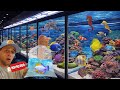 Frente a frente con los peces y corales más raros del mundo