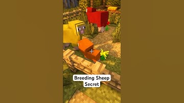 The Color Mixing Secret of Minecraft Sheep