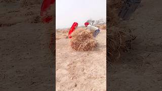 ham.garib.ko.ghi.sbot.karo.@🌾🌾🌾