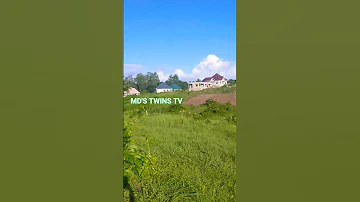 It S Not A Green Screen It S Real Tanzaniaunforgettable Mdstwinstv Nature Savetheland Tanapa 