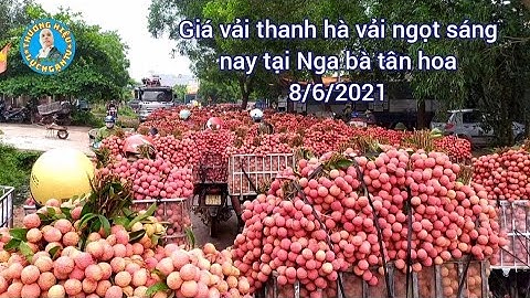 Báo giá chợ vải thiều lục ngạn sáng nay tại ngã ba xã tân hoa 8/6/2021