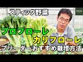 【家庭菜園】ブロフローレ・カリフローレの栽培！【ブリーダー解説】