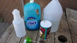 Lori crofford from mix 94.1 tests out the homemade weedkiller
lifehack. if you've been wondering it will kill your weeds, check this
video to see i...