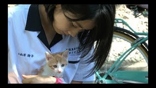 『あの頃、君を追いかけた』“松本穂香＆猫”メイキング映像