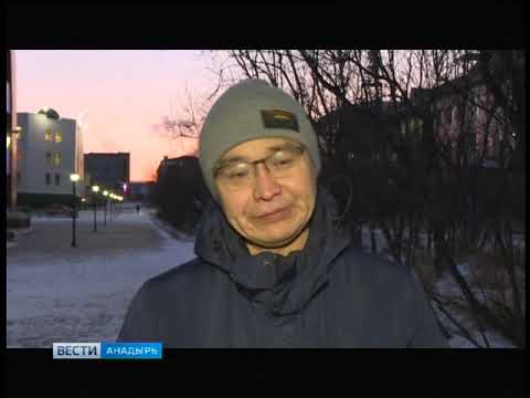 Медведь в Анадыре