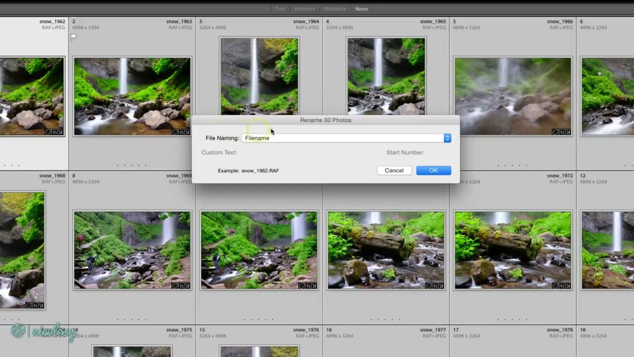 Renaming photos in Lightroom Classic YouTube