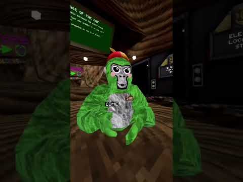 How high #gorillatag #helpmemakethismakesense #trend #gtag #vr