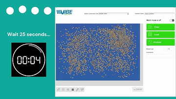Sesame Analysis Demo - The #1 solution for breeding / phenotyping & quality inspections!