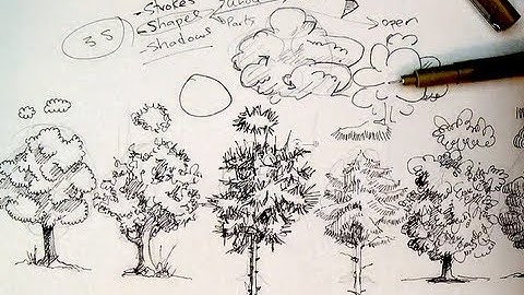 Pen & Ink Drawing Tutorials | How to draw trees