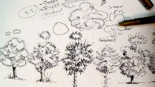 Pen & Ink Drawing Tutorials | How to draw trees