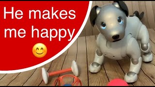 Scout the Aibo ERS 1000 Robotic Dog - 3 Month Update: He makes us happy & Im over Toby