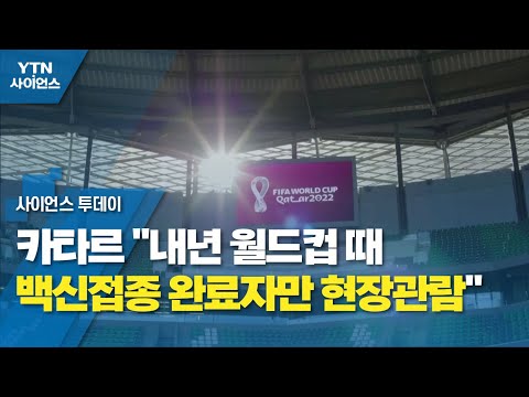 카타르 "내년 월드컵 때 백신접종 완료자만 현장관람" / YTN 사이언스