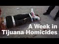 A week in tijuana homicide  san diego uniontribune