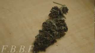 Grandaddy Purp NUG!.