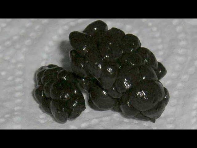 КРОЛИК есть свой КАЛ.Копрофагия.Цикотрофы и что это такое.Втды кала у кроликов.Ночной кал у кролика.