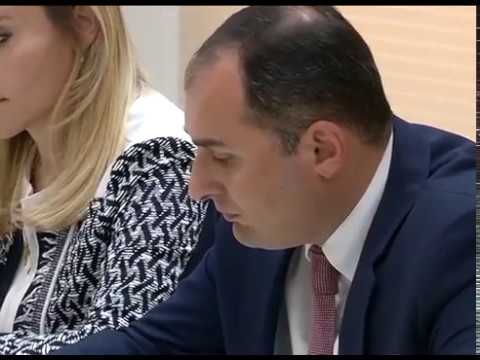 საქართველოში JETRO-ს დელეგაცია იმყოფება