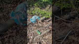 Earth Day Clean Up with Buccos Roofing