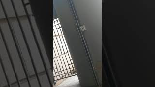 環球郵報20180607-8街頭藝人在台北圓山花博捷運站唱主耶穌的歌好聽吉他演唱的好但是打長得很少沒有人有錢每天捐獻給他 跟著去北投資539簽牌去你就可以賺到錢