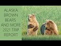 Alaskan Brown Bear Photography Tour