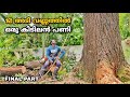 BIGGEST TREE IN NATTIKA TRISSUR😮!!! KERALA TREE CUTTING SKILLS | FINAL PART