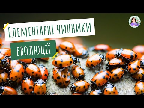 Елементарні чинники еволюції