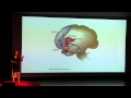 The brain is our last frontier and consciousness is expanding | Dr. Heather Berlin | TEDxYouth@KC