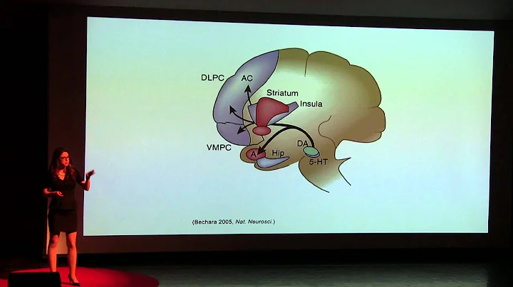 The brain is our last frontier and consciousness i...